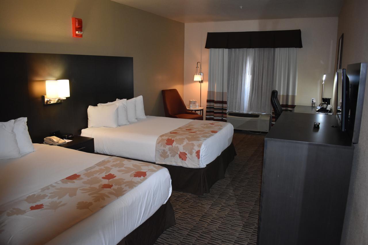 Hawthorn Vegas